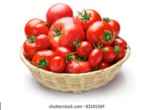 Basket of Tomatoes